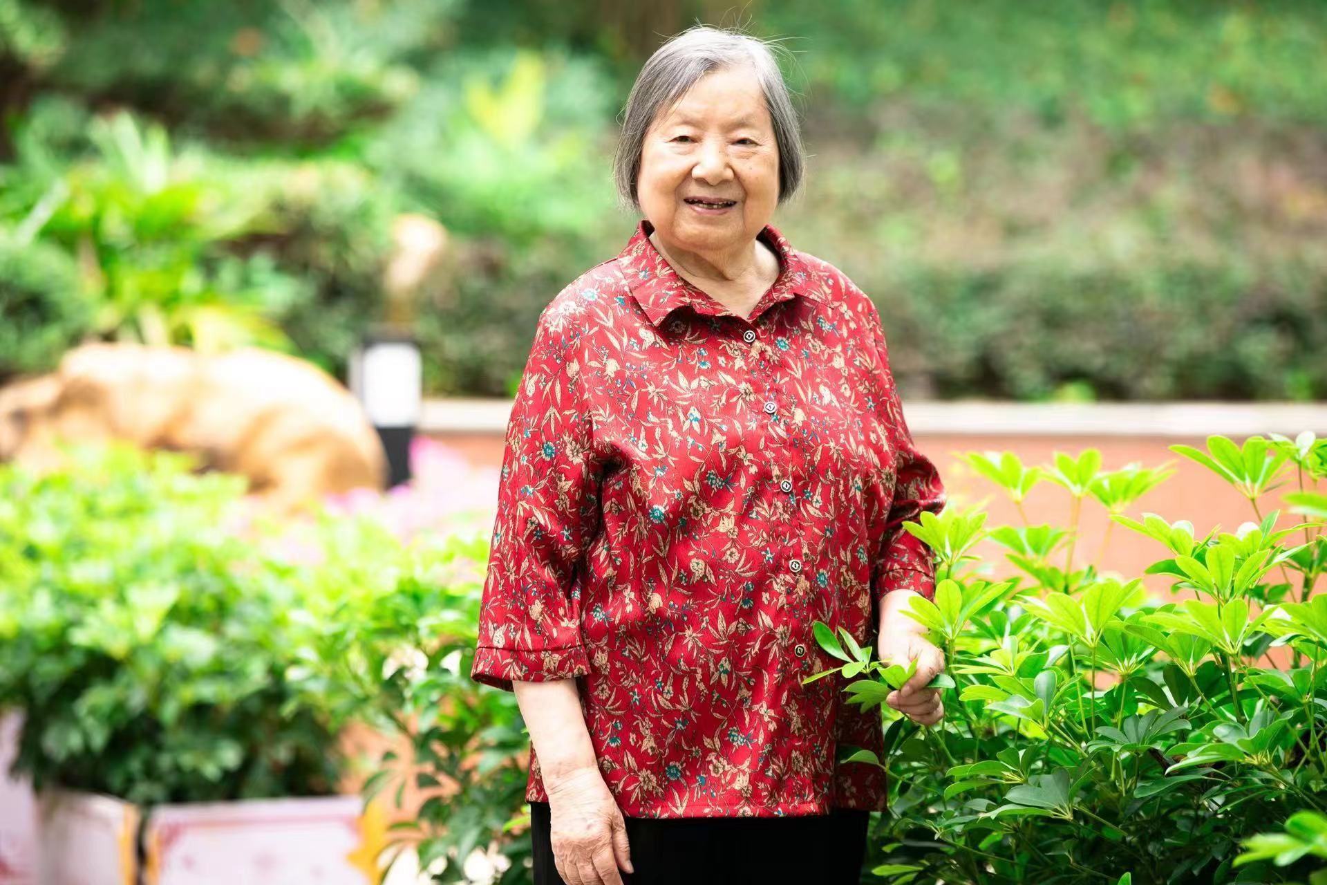 WilliamHill(威廉希尔)官网